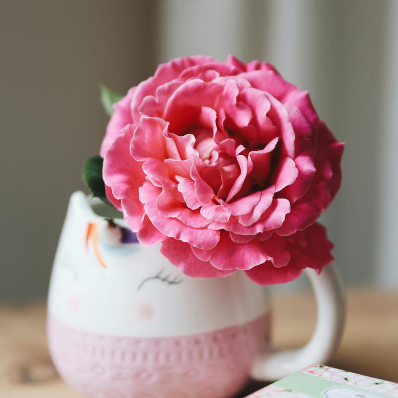 Rose in a white and pink Ceramic mug - Ayurveda for cooling ingredients in summer