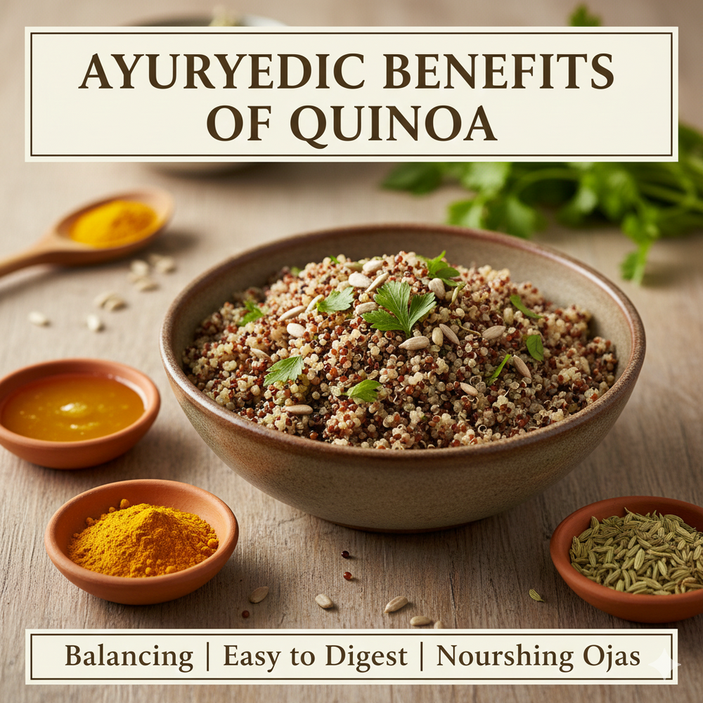 Bowl of cooked quinoa topped with cilantro and sunflower seeds,  with small bowls of ghee, turmeric and fennel seeds on the side.