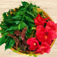 Hibiscus flowers, Indian Curry Leaves, Shikakai pods